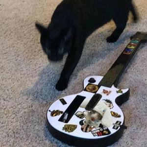 邱淑芬在厨房被躁到高潮
